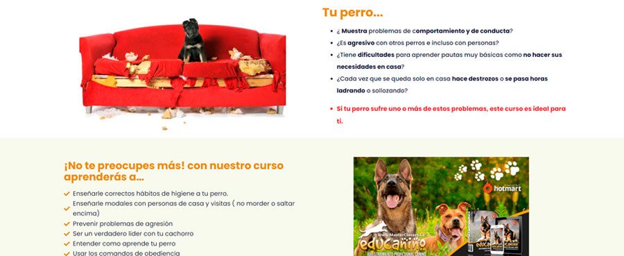 curso-canino online