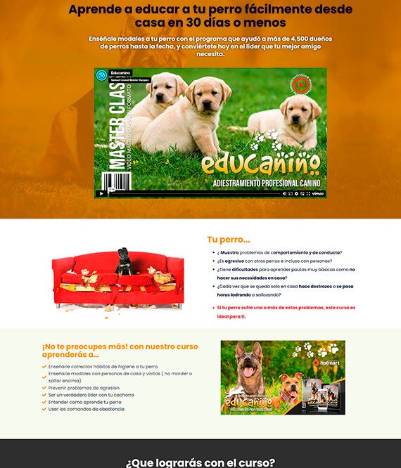 curso canino online